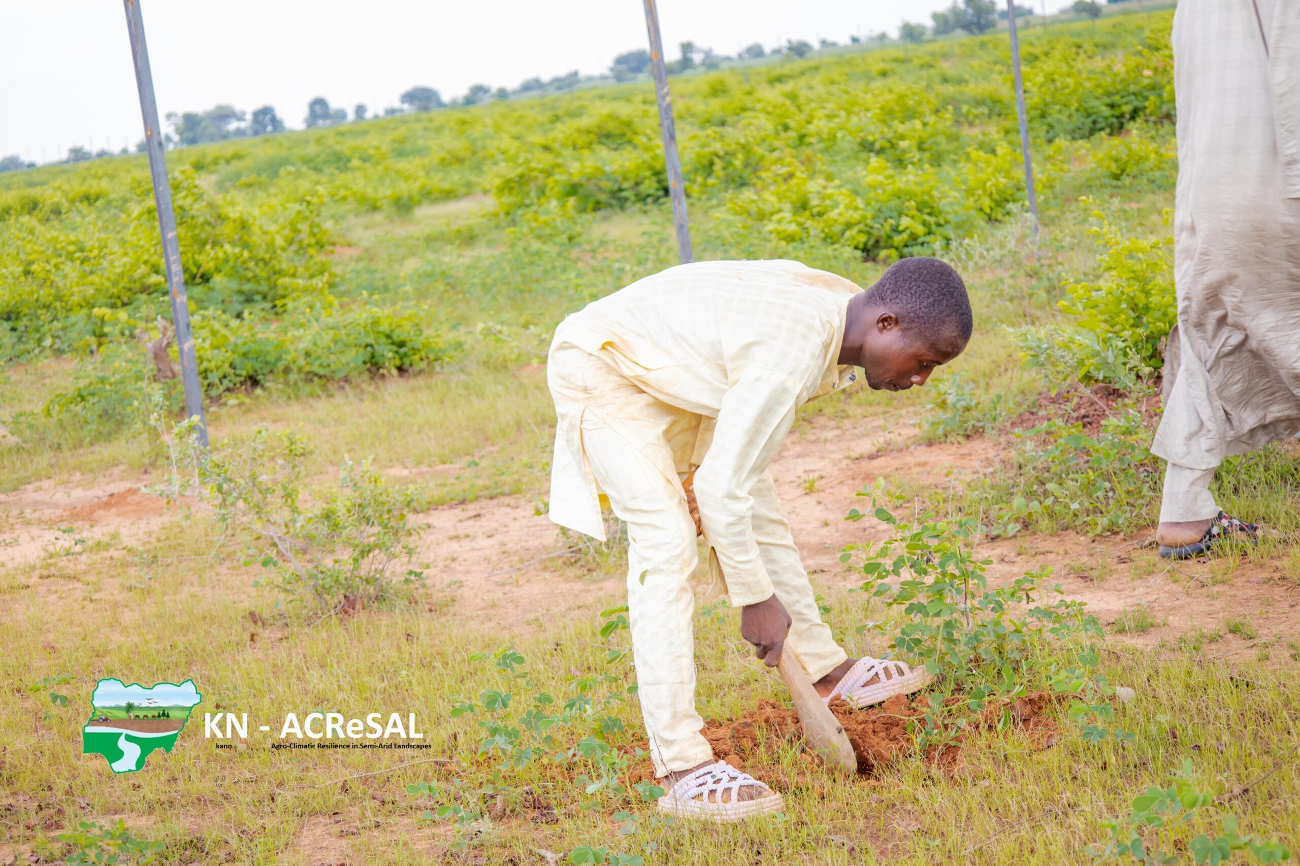 Community sensitization on Farmer Managed Natural Regeneration and Orchard Plantation in Bakwami-19