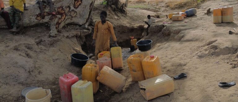 DCIM102MEDIADJI_0128